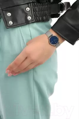 Наручные часы Skagen SKW2759 фото