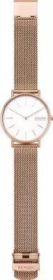 Наручные часы Skagen SKW2784 фото