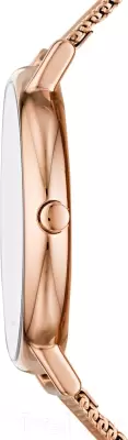 Наручные часы Skagen SKW2784 фото