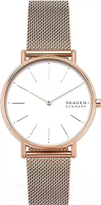 Наручные часы Skagen SKW2784 фото