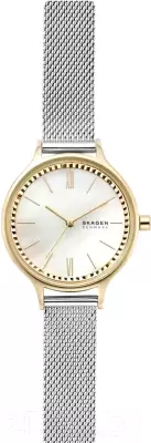 Наручные часы Skagen SKW2866 фото