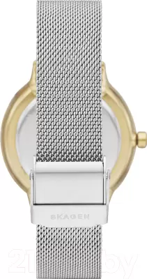 Наручные часы Skagen SKW2912 фото