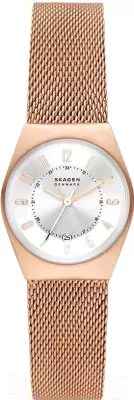 Наручные часы Skagen SKW3035 фото