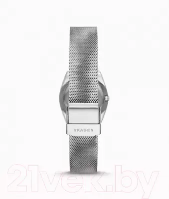 Наручные часы Skagen SKW3038 фото
