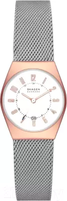 Наручные часы Skagen SKW3050 фото