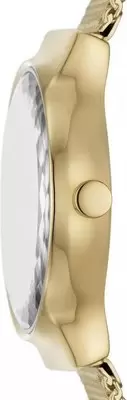 Наручные часы Skagen SKW3110 фото