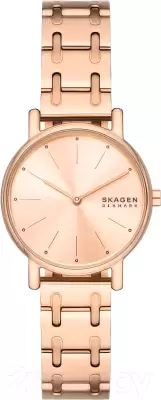 Наручные часы Skagen SKW3125 фото