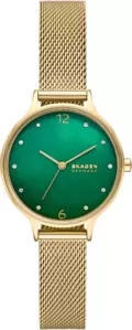 Наручные часы Skagen SKW3145 фото