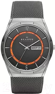 Наручные часы Skagen SKW6007 фото