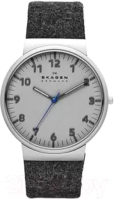 Наручные часы Skagen SKW6097 фото