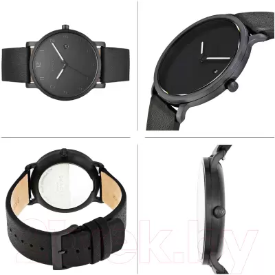 Наручные часы Skagen SKW6308 фото