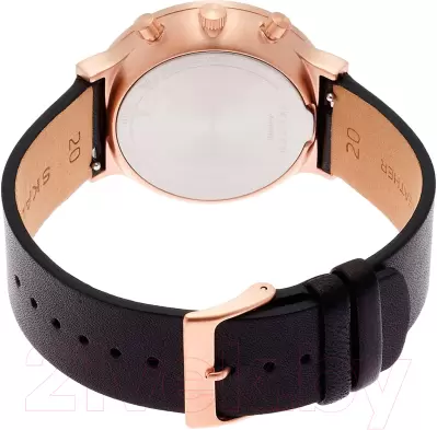 Наручные часы Skagen SKW6371 фото