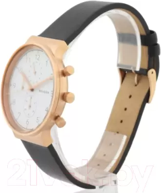 Наручные часы Skagen SKW6371 фото