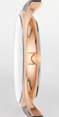 Наручные часы Skagen SKW6395 фото
