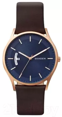 Наручные часы Skagen SKW6395 фото