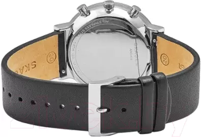 Наручные часы Skagen SKW6417 фото
