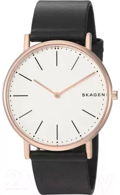 Наручные часы Skagen SKW6430 фото