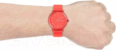Наручные часы Skagen SKW6603 фото