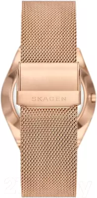 Наручные часы Skagen SKW6818 фото