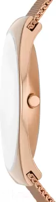 Наручные часы Skagen SKW6818 фото