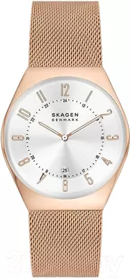 Наручные часы Skagen SKW6818 фото