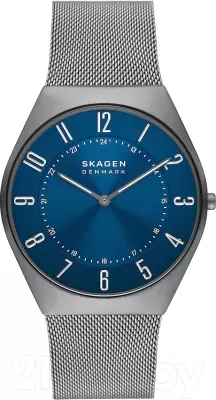 Наручные часы Skagen SKW6829 фото