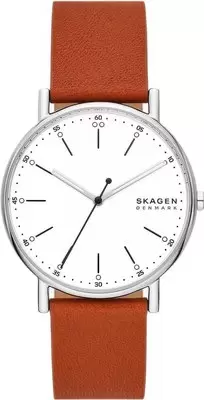 Наручные часы Skagen SKW6903 фото