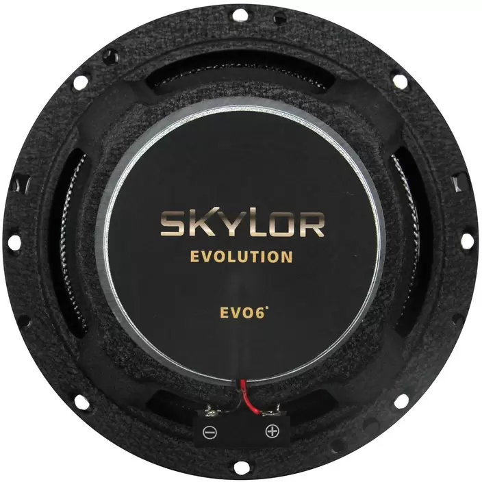 Skylor EVO6