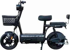 Smart8 Bulbash Ant