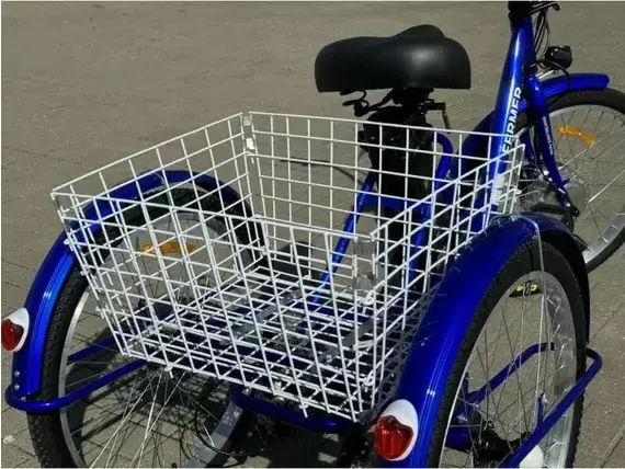 Электровелосипед SmartBalance Fermer фото