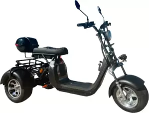 Электроскутер Smart Balance X11 Trike 2024 (черный) фото