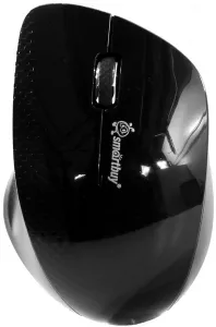 Компьютерная мышь SmartBuy 309AG Black фото