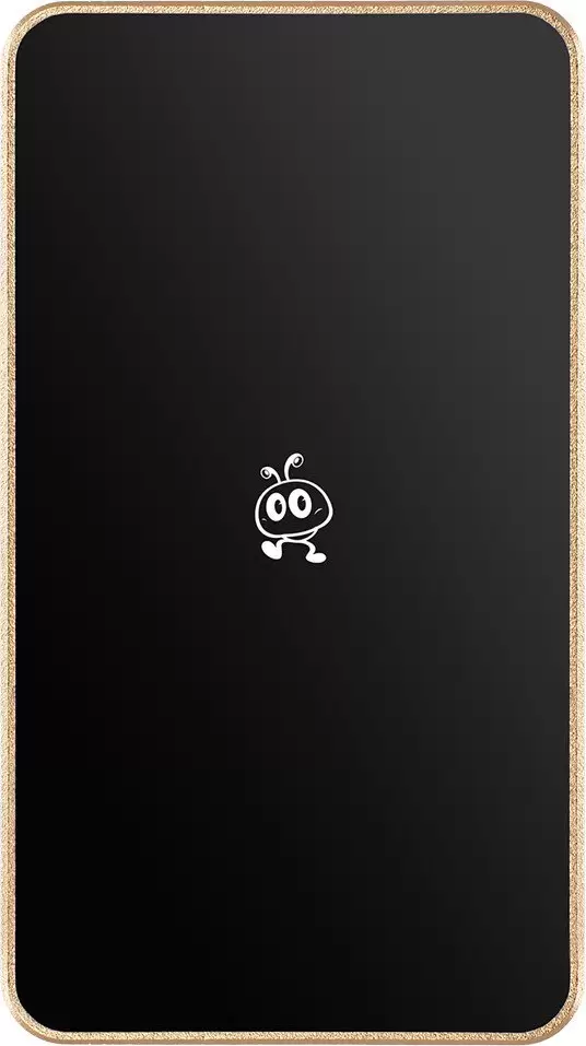 SmartBuy P5 Pro SBD256P5CU3C 256GB (золотистый)