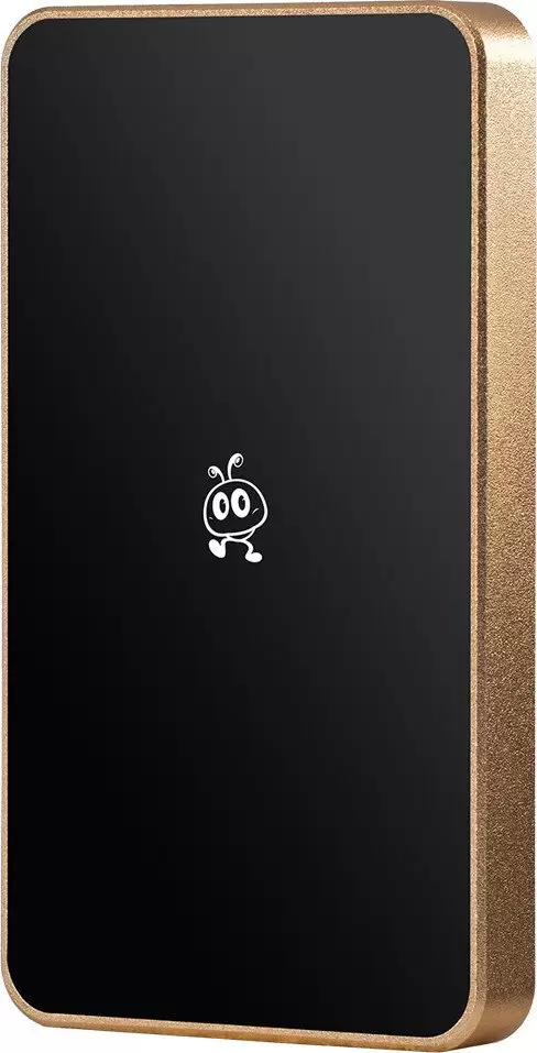 Внешний накопитель SmartBuy P5 Pro SBD256P5CU3C 256GB (золотистый) фото