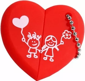 USB-флэш накопитель SmartBuy Wild Series Heart 64Gb (SB64GBHeart)