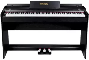 Solista DP600BK