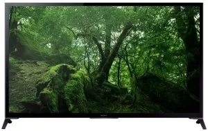 Телевизор Sony KD-65X9505B фото
