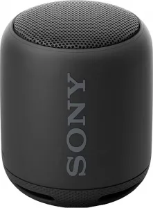 Портативная акустика Sony SRS-XB10 Black фото