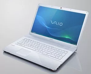 Ноутбук Sony VAIO VPCEC2M1R/WI фото