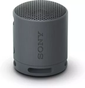 Беспроводная колонка Sony XB100 (черный) фото
