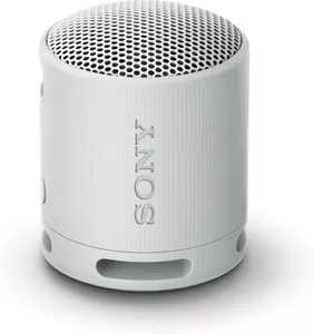Беспроводная колонка Sony XB100 (светло-серый) фото