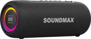 Беспроводная колонка Soundmax SM-PS5026B (черный) фото