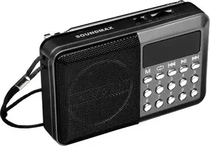 Радиоприемник Soundmax SM-RD2127 фото