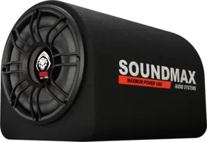 Сабвуфер Soundmax SM-SW1001A фото