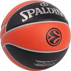 Мяч баскетбольный Spalding TF-500 Rep/EURO фото