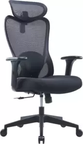 Офисное кресло Sparx FRS-19 Dino (Black/Black) фото