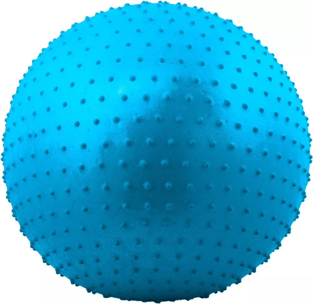 Мяч гимнастический Starfit GB-301 65 см blue фото