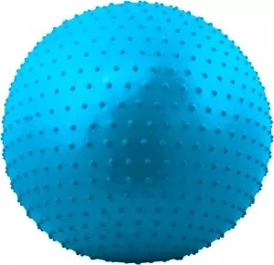 Мяч гимнастический Starfit GB-301 55 см blue фото