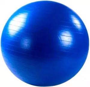 Мяч гимнастический Sundays Fitness IR97402-75 (голубой) фото