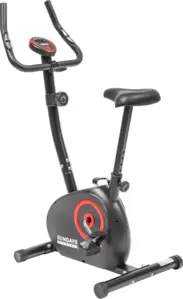 Велотренажер Sundays Fitness Simple Line GB-1039N фото